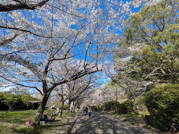 Senri Minami Park 4