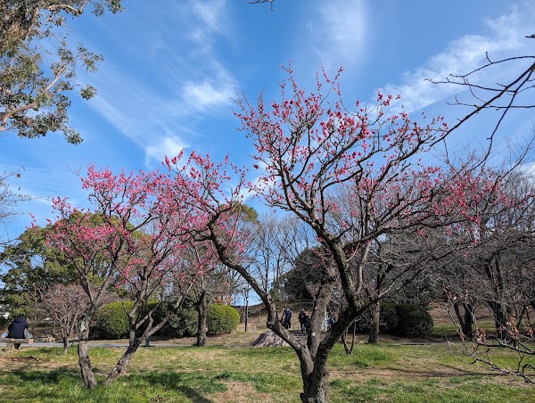 Senri Minami Park 3