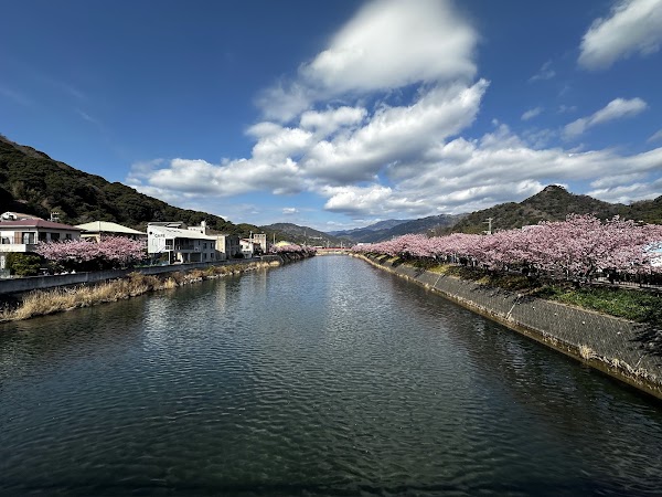 Kawazu River 5