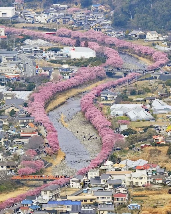 Kawazu River 4