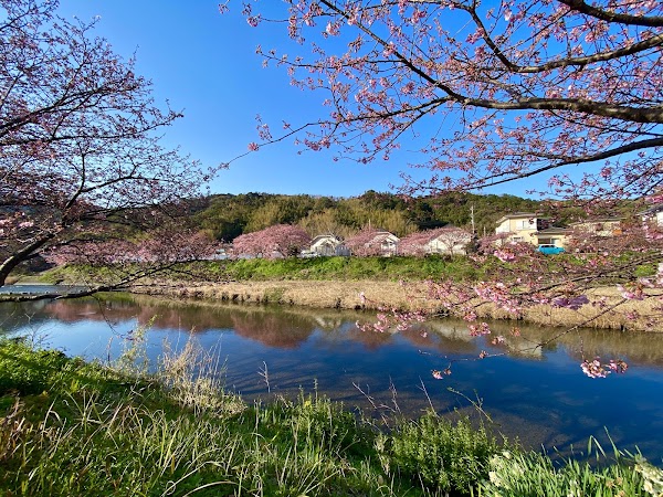 Kawazu River 3