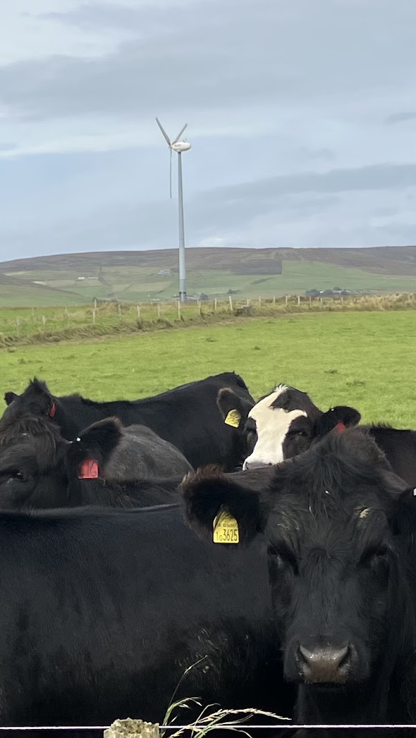 Orkney 2