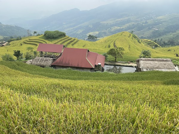 Thavill Retreat Hagiang