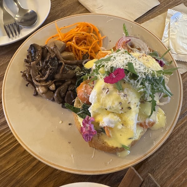 Oatt Brunch 4