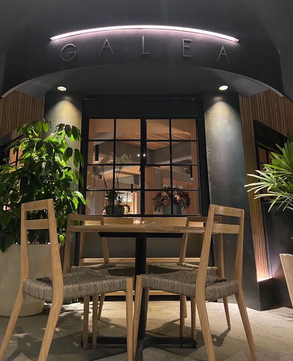 Galea