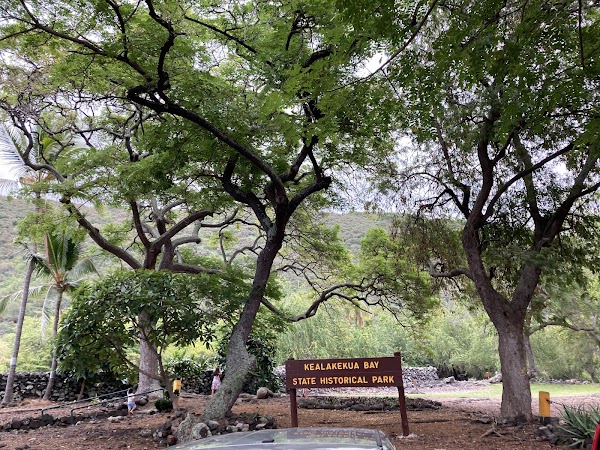 Kealakekua Bay 5