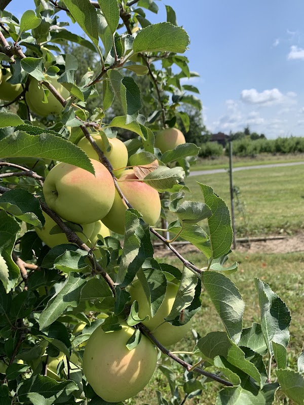 Applewood Farm