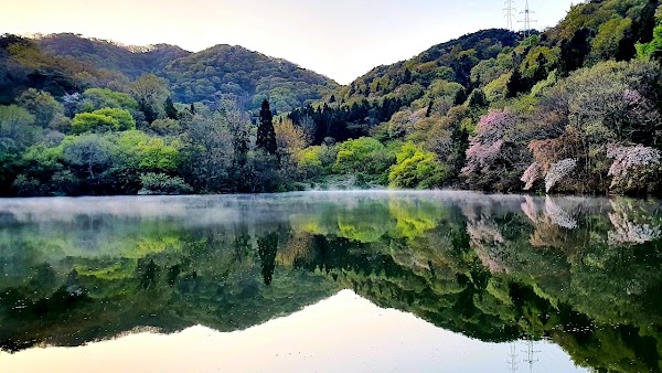 세량제 1
