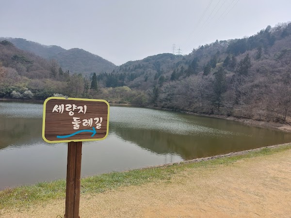 세량제 5