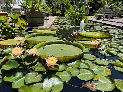 Stellenbosch University Botanical Garden