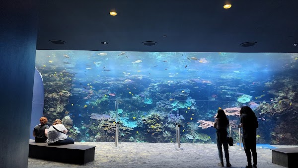 Georgia Aquarium 5