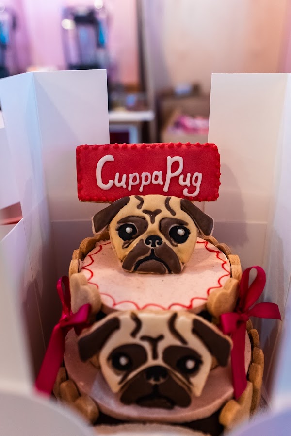 CuppaPug 5