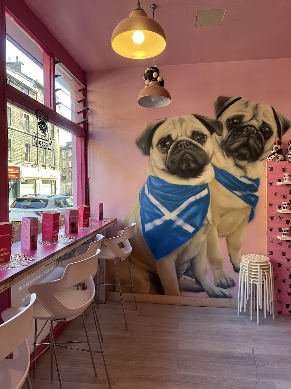 CuppaPug 3