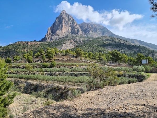 Puig Campana