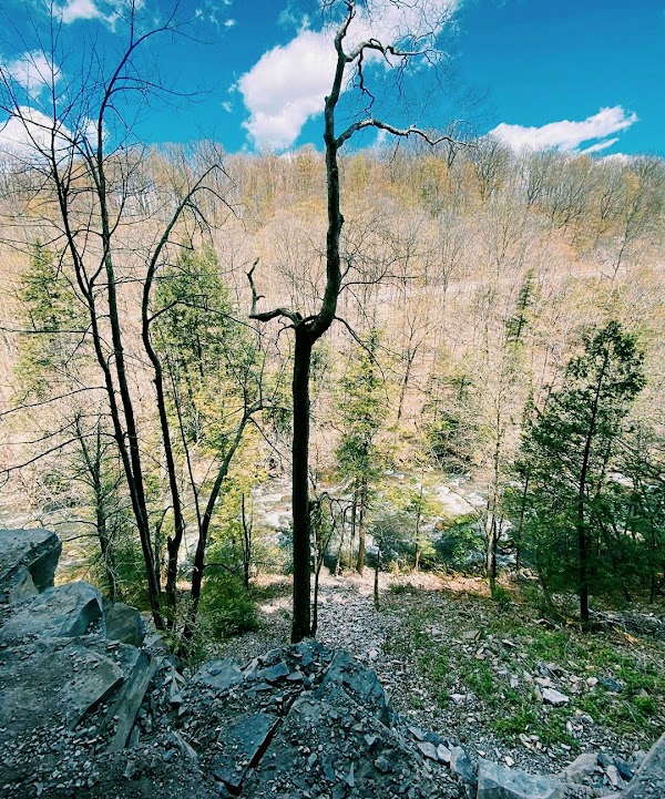 Hikes 33