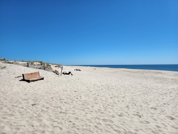 Halsey Neck Beach