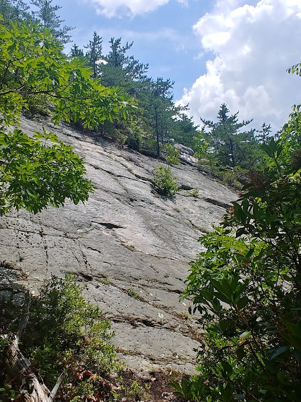 Devil's Marbleyard Trail 5