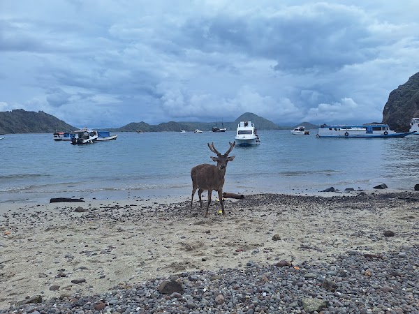 Pulau Siaba Besar 4