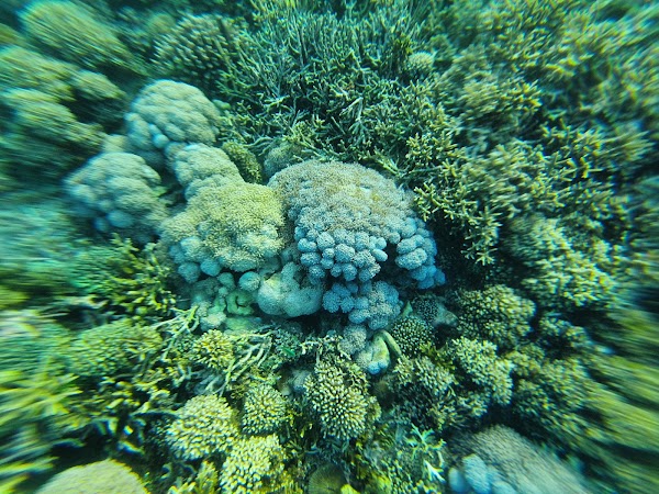 Pulau Siaba Besar 2