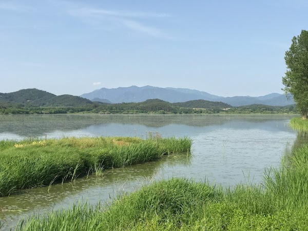 Upo Wetlands
