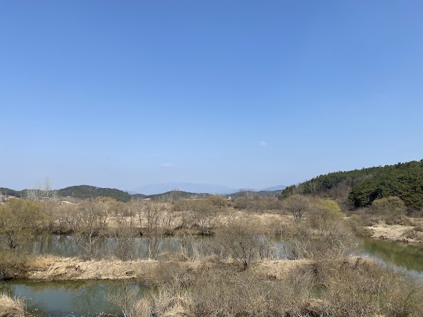 Upo Wetlands 5