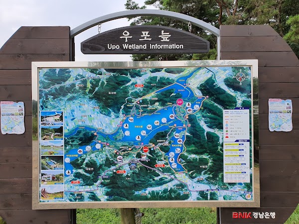 Upo Wetlands 2