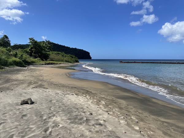 Coconut Beach (public beach) 5