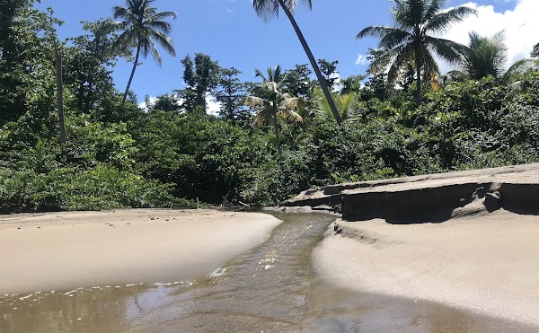 Coconut Beach (public beach) 2