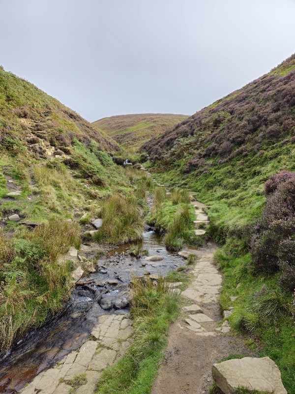 Kinder Downfall 3