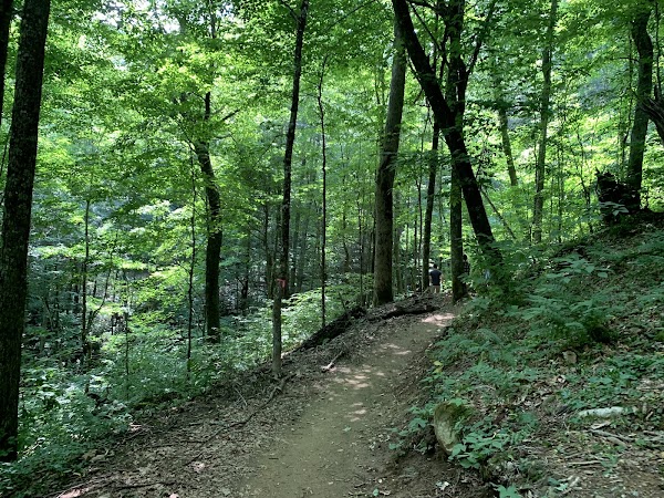 Profile Trail 1
