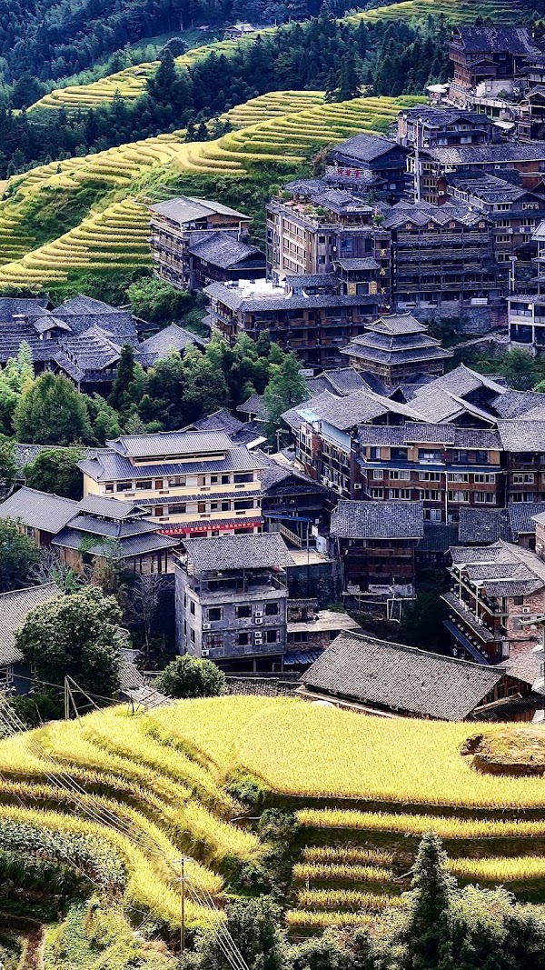 龙脊梯田 4