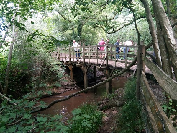 Pooh Sticks Bridge