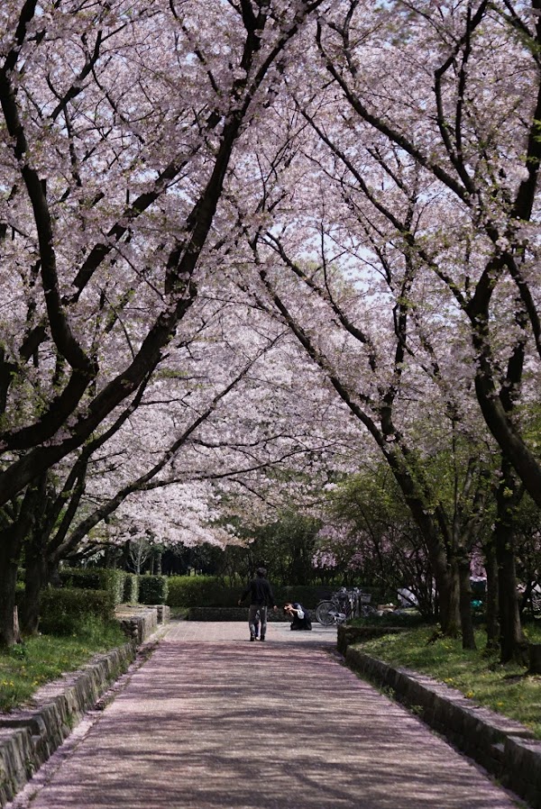 Shonai Ryokuchi Park
