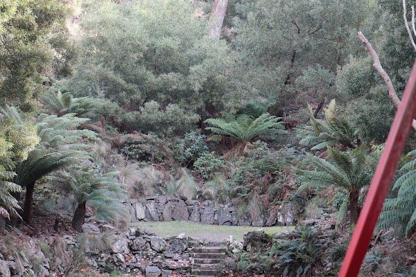 Fairy Dell Stage 3