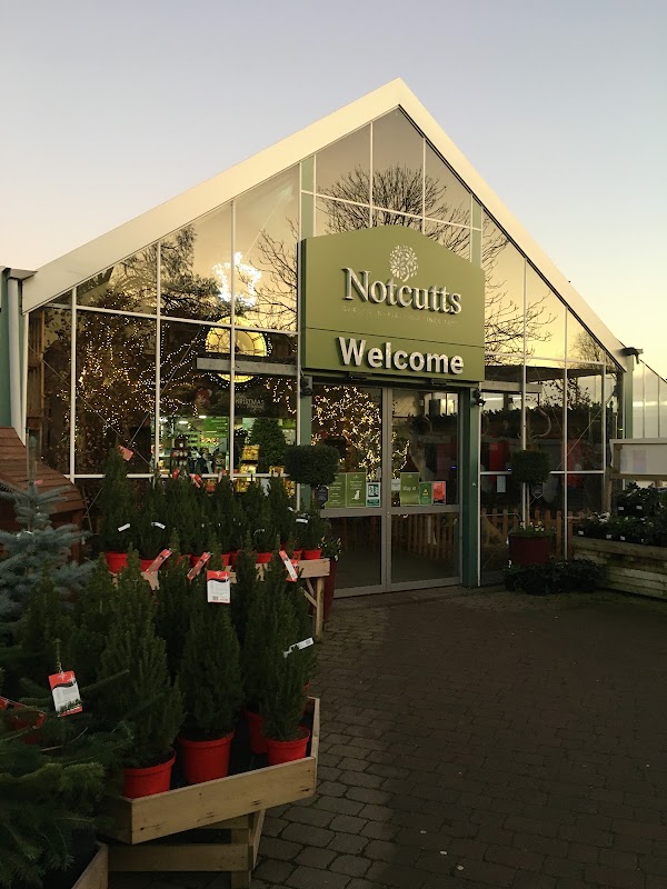Notcutts Dukeries 1