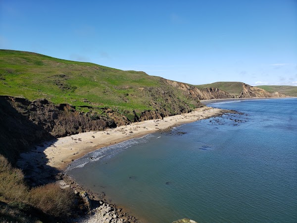 Elephant Seal Overlook