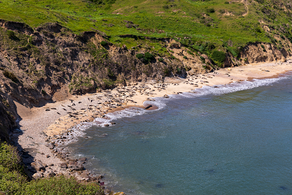 Elephant Seal Overlook 3