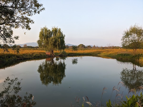 Liangzhu Ancient City Relic Site 5