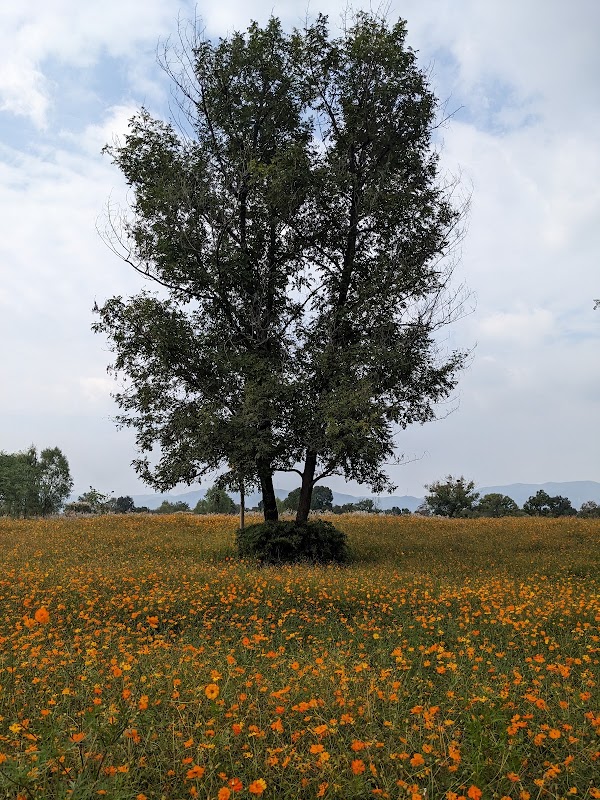 Liangzhu Ancient City Relic Site 2
