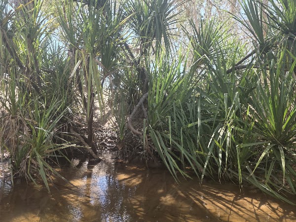 Hann River Crossing 5