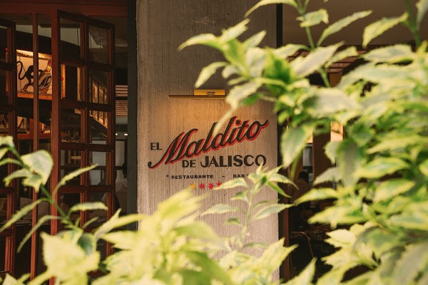 El Maldito de Jalisco 4