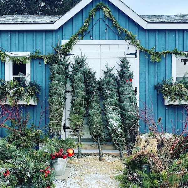 Country Cut Flowers