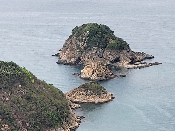 Chung Hom Kok 4