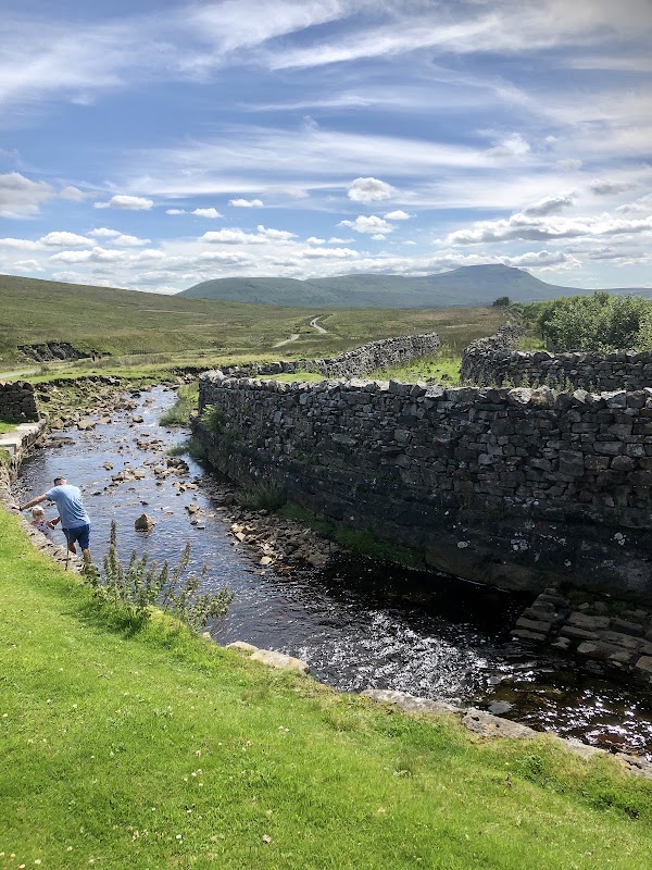 Force Gill