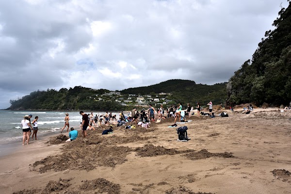 Hotwater Springs - Low Tide 5