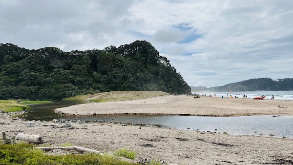 Hotwater Springs - Low Tide 4
