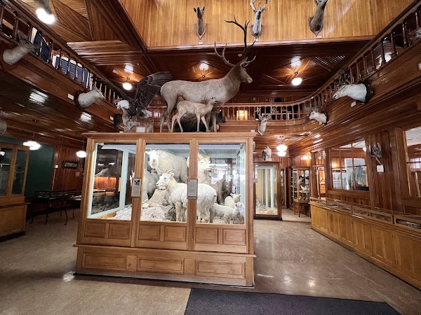 Banff Park Museum National Historic Site 5