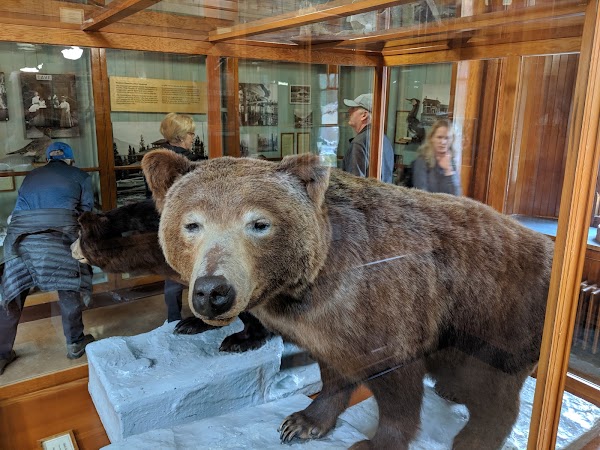 Banff Park Museum National Historic Site 3