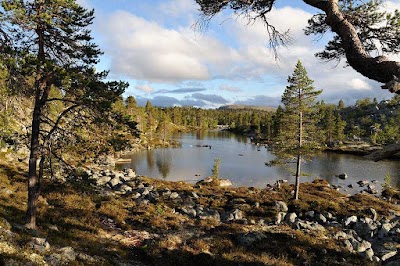 Femundsmarka National Park