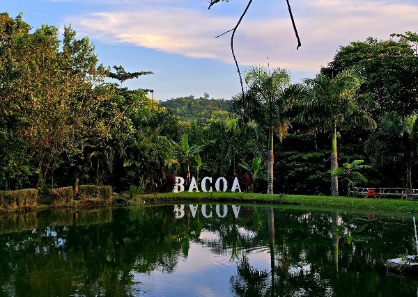 Bacoa Finca + Fogón 3